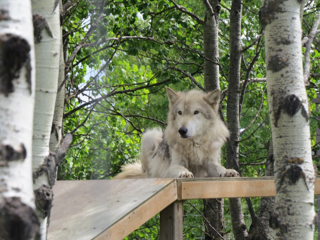 One way to give&nbsp;back…